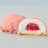 宇都宮に札幌発“餅スイーツ”店オープン　スイーツ大福、わらび餅ドリンク　アクセスホーム