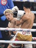 井上尚 全勝対決制す