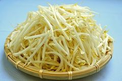 生産工場に聞く「もやし」のおいしい食べ方