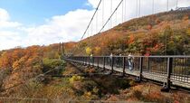 那須・つつじ吊り橋周辺で紅葉見頃