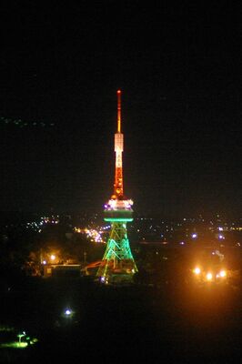 赤と緑にライトアップされた宇都宮タワー。ことしもこの姿が見られる（八幡山公園提供）