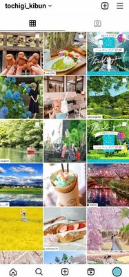 「とちぎきぶん」のインスタグラム公式アカウント画面