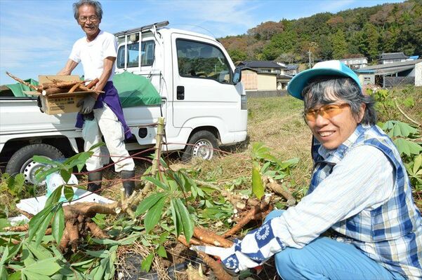 福島さんとキャッサバ芋を掘り出して笑顔を見せる松本さん（右）