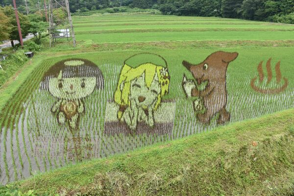 「感謝＆環境」をテーマにした田んぼアート