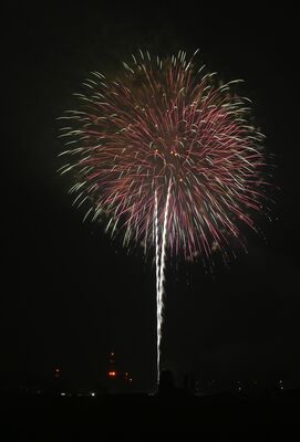 夜空を彩った花火