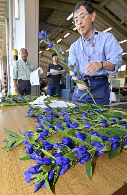 規格の確認などを行った目ぞろえ会＝５日午前８時35分、日光市森友