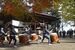 桜町二宮神社境内で披露された尊徳太鼓保存会による奉納演奏