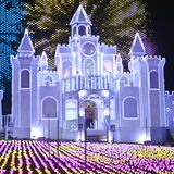 輝く光の花の庭　あしかがフラワーパーク　新たなイルミも【動画】