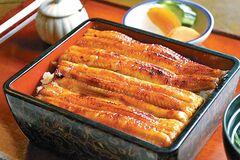 うな重定食