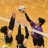 男女の決勝カード決定　国学院栃木は36連覇ならず　春高バレー県予選