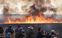渡良瀬遊水地でヨシ焼き
