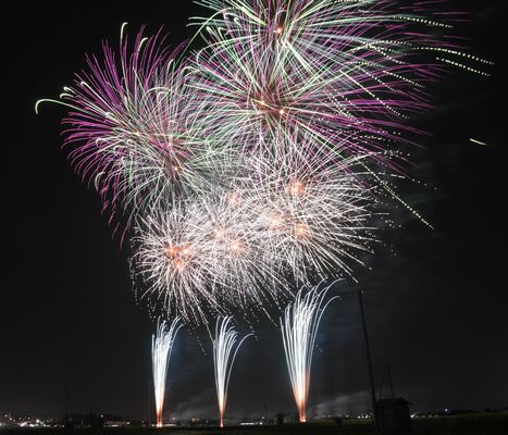 春の夜空を彩る打ち上げ花火