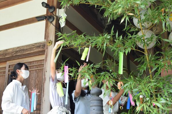 ササの葉に短冊を飾り付ける児童