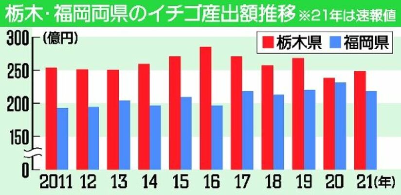 栃木・福岡のイチゴ産出額推移