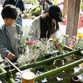 子どもたちが手水舎に生け花　佐野・唐澤山神社で春季大祭
