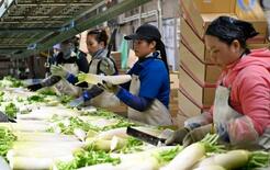 【独自】外国人、１０道県１０年で２倍超