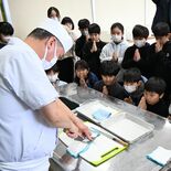 児童が育てたヒラメを実食　宇都宮・五代小で特別授業　命の尊さ学ぶ、葛藤…