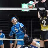 春高バレー県予選きょう準々決勝、準決勝　男女の熱戦展望