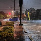小山で住家や車両浸水　11日の大雨被害