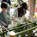 子どもたちが手水舎に生け花　佐野・唐澤山神社で春季大祭