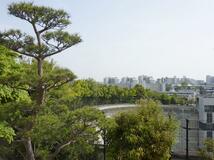 天空の庭園から西郷山へ