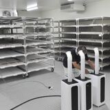 児童が巣立った校舎で今度はサフランが育つ　佐野の旧閑馬小で動き出した新たなビジネス