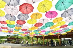 梅雨空彩るアンブレラ　鹿沼花木センター
