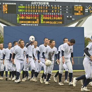 【速報】佐野日大は決勝進出ならず 花咲徳栄(埼玉)に4-7 秋季関東高校野球