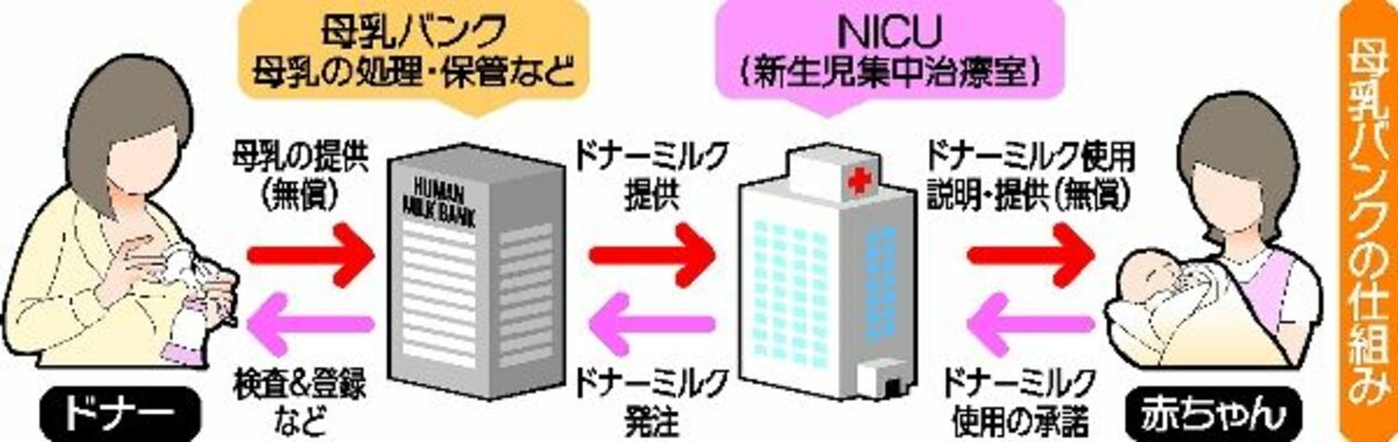 母乳バンクの仕組み