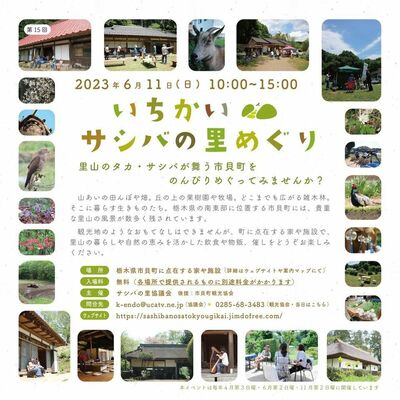 「いちかいサシバの里めぐり」のチラシ