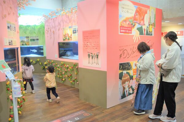 旬の魚介類を漫画などを交えて紹介している企画展