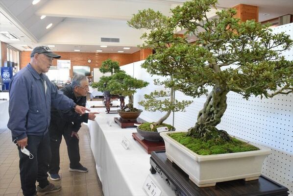 多彩な作品が並んだ県北合同皐月秋季展