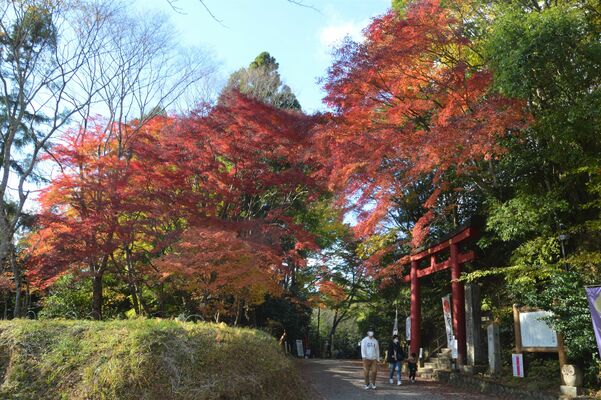 鷲子山上（とりのこさんしょう）神社
