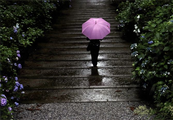 入選「雨の参拝」 長江久男(栃木)