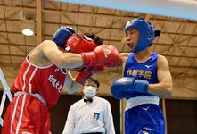 高校総体・ボクシング