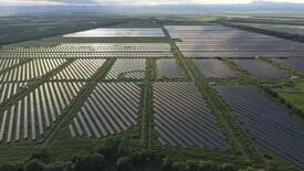 政府、メガソーラー安全性確保へ