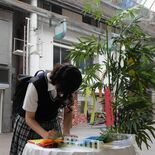 誰でも自由に…オリオン通りで笹に願いを　「オリオン七夕まつり」実行委が…