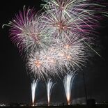 春の夜空に咲く大輪　佐野西ＬＣが花火大会