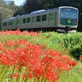 着物姿で烏山線楽しもう　「アキュムに乗って五・七・五」　車窓の紅葉で一句