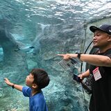 旭山動物園に興奮　親子ふれあいクルーズin北海道　きょう帰郷