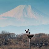 第23回下野新聞紙上写真コンテスト－入賞作品－