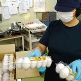 足銀20年の軌跡　多様なサービス提案　課題解決へ、専門性追求
