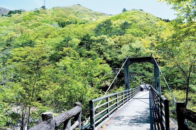折り返し地点のむささび橋