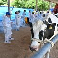 「新たな学びあった」 那須塩原で家畜審査競技会、高校生35人が技術磨く《記録あり》