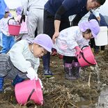 １万３千匹の稚アユに「バイバイ」　塩谷・荒川河川敷で園児らが放流