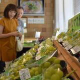 道の駅もてぎで「シャインマスカットまつり」　房売りやスイーツ販売　想定以上の売り上げで会場に列