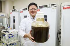 肥満改善効果 藻を大量培養