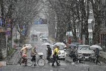 宇都宮など県内各地で降雪