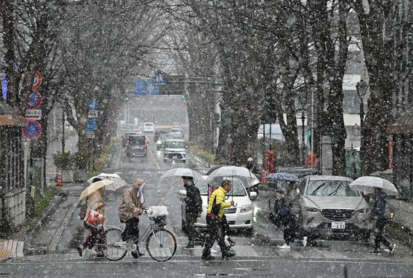 県都でも雪となり、街中を行き交う人たち＝３日午後０時35分、宇都宮市池上町
