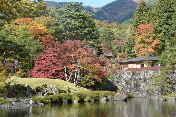 紅葉が色づき始めた古峯園
